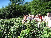 Dimanche JPV (13).jpg